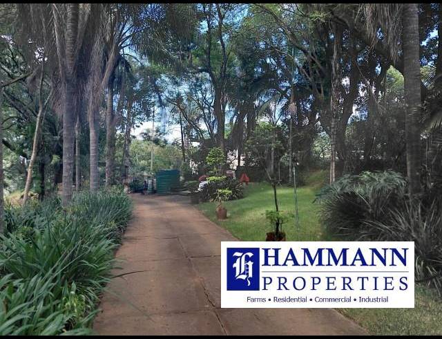 FARM FOR SALE IN LEVUBU